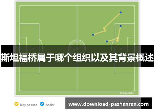 斯坦福桥属于哪个组织以及其背景概述