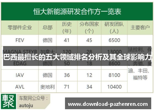 巴西最擅长的五大领域排名分析及其全球影响力