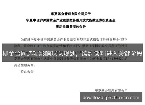 柳金合同选项影响球队规划，续约谈判进入关键阶段